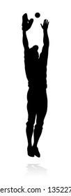 Baseball player in sports pose detailed silhouette