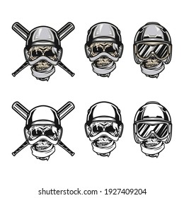Baseball-Schädelkopf und -Gang