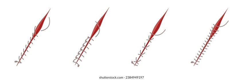 Baseball Stitches and Red Lace with Loop of Thread Isolated on White Background Vector Set