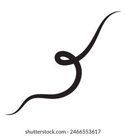 Baseball swoosh tails, isolated black vector curly lines, text underlines. Sports swash shapes set in retro style. Black swirl vector line. 11:11
