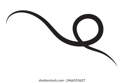 Baseball swoosh tails, isolated black vector curly lines, text underlines. Sports swash shapes set in retro style. Black swirl vector line. 11:11