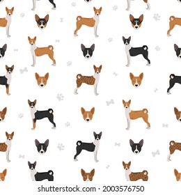 Basenji all colours seamless pattern. Different coat colors and poses set.  Vector illustration