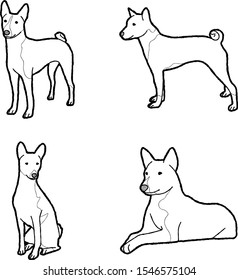 Basenji Animal Vector Illustration Hand Drawn Cartoon Art