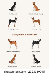 Basenji colors. Popular coat colours. Cute Red congo dogs characters in various poses, design for print, adorable and cute cartoon vector set. Dog Drawing collection set. Tri-color fur dog logo.