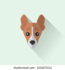 Basenji Dog Head Vector Flat Design Illustration from Front View for Website Icon, Social Media or Blog Post for Dog Business Related