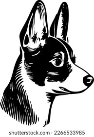 Basenji, dog head, vector illustration, black color, vector image