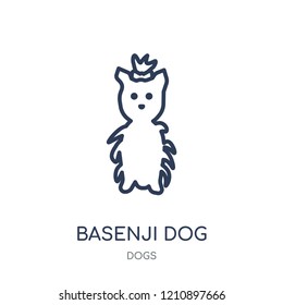 Basenji dog icon. Basenji dog linear symbol design from Dogs collection. Simple outline element vector illustration on white background.