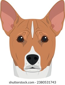 Basenji dog isolated on white background vector illustration