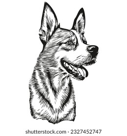 Basenji dog portrait in vector, animal hand drawing for tattoo or tshirt print illustration