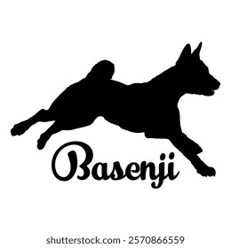 Basenji. dog silhouette, dog breeds, logo, vector, silhouette,  animal, illustration, icon, sign, design, black, symbol, pet, love
