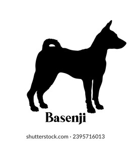 Basenji Dog silhouette dog breeds dog monogram logo dog face vector