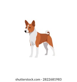 Basenji Dog Vector Illustration Isolated on White Background, Purebred African Barkless Dog Art