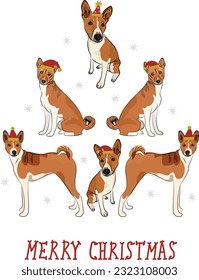 Basenji dogs wearing winter hats. Cute funny dogs. Abstract Christmas tree. Vector illustration. Merry Christmas greeting card with the cute funny dogs, holiday, purebred with happy eyes, sitting.