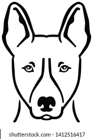 Basenji head in black and white