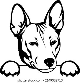 Basenji Peeking Dog Vector Image  Basenji Dog Head Breed