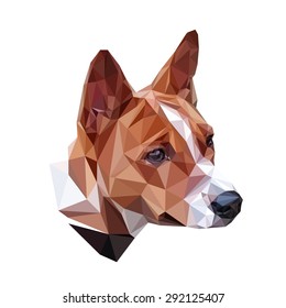 Basenji polygon portrait, low poly dog head, isolated vector image