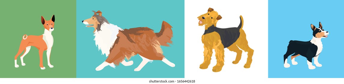 Basenji, red collie, аiredale terrier and corgi on the four-color background. Vector illustration. Cartoon style