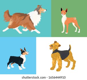 Basenji, red collie, аiredale terrier and corgi on the different color postcards