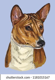 Basenji vector hand drawing illustration in different color on blue background