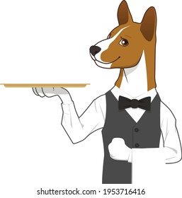 basenji waiter uniform with tray