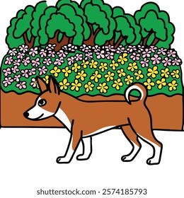 Basenjis walking gracefully in front of a vibrant flower garden, capturing the beauty of nature and this unique breed.