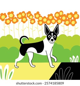 Basenjis walking gracefully in front of a vibrant flower garden, capturing the beauty of nature and this unique breed.