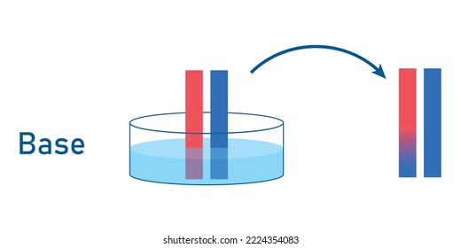 Bases Cause Red Litmus Paper To Turn  Blue. Scientific Vector Illustration Isolated On White Background.