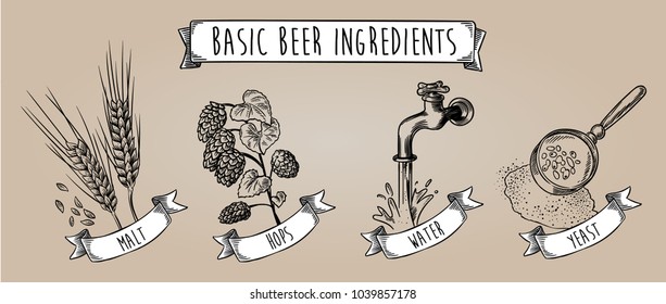 Basic beer ingredients. Hand drawn vintage vector line art illustration for label, menu, poster, flyer