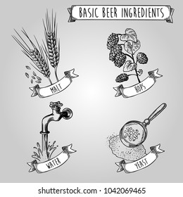 Basic beer ingredients malt, hops, water and yeast. Vintage vector line art illustration