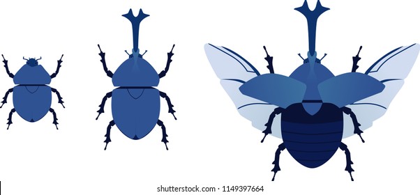 the basic beetles vector on white background