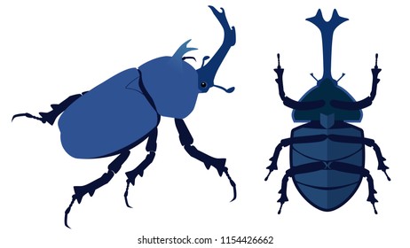 the basic beetles vector on white background