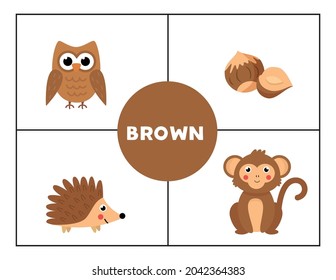 Basic colors for children. Flashcards for learning colors. Brown color.