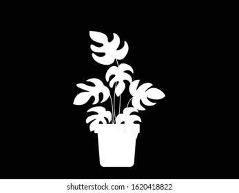 Basic drawing white plant pot on black background