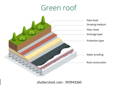 Basic elements of a green roof.  Flat 3d vector isometric illustration of eco roof. 