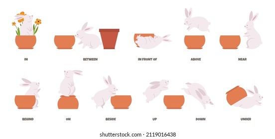 Basic english prepositions poster. Study language with cute cartoon rabbit and flower pot. Bunny character in different poses, isolated education vector banner