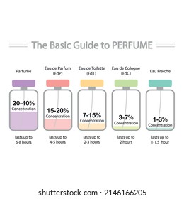 Basic Guide Perfume Infographic Perfume Composition Stock Vector ...
