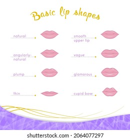 basic lip shapes, natural, angular natural, plump, thin, smooth upper lip, fuzzy, glamorous, cupid bow isolated on white background