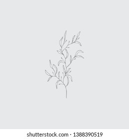 The basic minimalistic form of botanical flowers without decoration set on grey background  vector  color drawing or illustration