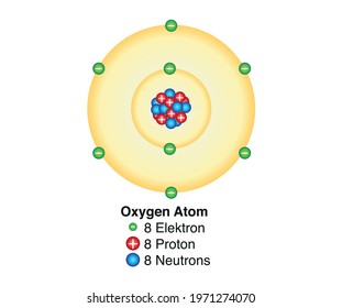 The basic model of the Oxygen atom containing protons, neutrons and electrons. Vector drawing of the oxygen atom.