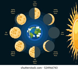 Diagrama de fases lunares básicas. Luna de queso en sus diferentes fases dependiendo de la posición en relación con la tierra y la dirección de la luz solar. Astronomía educativa para niños. Ilustración vectorial de caricatura en estilo plano