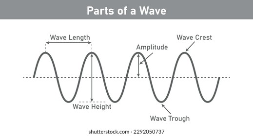 The basic properties of waves. Parts of wave diagram. Direction of wave motion. Crest, trough, amplitude, height and length of wave. Vector illustration isolated on white background.