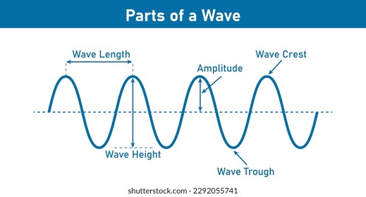 The basic properties of waves. Parts of wave diagram. Direction of wave motion. Crest, trough, amplitude, height and length of wave. Vector illustration isolated on white background.