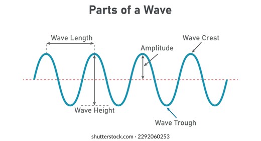 The basic properties of waves. Parts of wave diagram. Direction of wave motion. Crest, trough, amplitude, height and length of wave. Vector illustration isolated on white background.