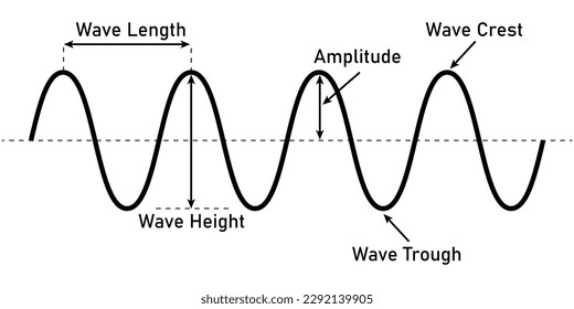 The basic properties of waves. Parts of wave diagram. Direction of wave motion. Crest, trough, amplitude, height and length of wave. Vector illustration isolated on white background.