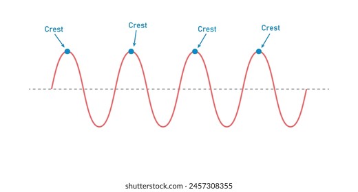 The basic properties of waves in physics. Parts of a transverse wave.