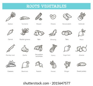 Basic root vegetables thin line icon set