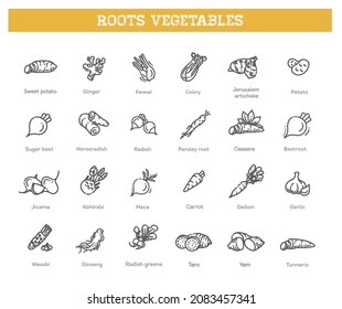 Basic root vegetables thin line icon set