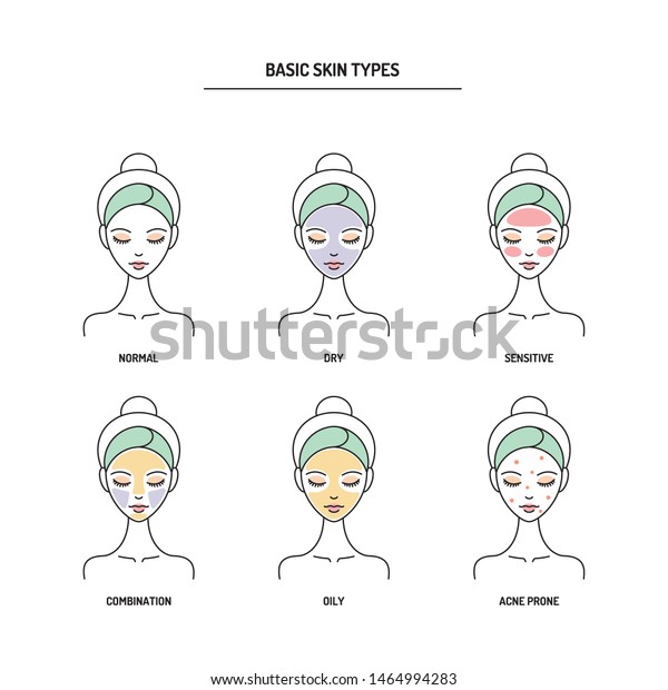 Basic Skin Types Chart Normal Dry Stock Vector (Royalty Free) 1464994283