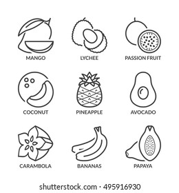 frutas tropicais e exóticas básicas, ícones de linha fina definido. isolado. cor preta