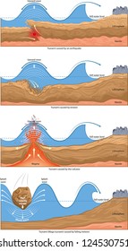 The basic types of tsunami. Infographic.